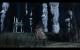 Dark Souls 2 - Die Beleuchtung zählt noch zu den Stärken von Dark Souls 2