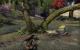 TESO - Elder Scrolls Online downsampled (50)