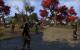 TESO - Elder Scrolls Online downsampled (60)