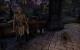 TESO - Elder Scrolls Online downsampled (52)