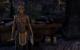 TESO - Elder Scrolls Online downsampled (58)