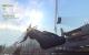 Goat Simulator mit Sweet FX, SGSSAA und Downsampling (2)