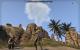 TESO - Elder Scrolls Online downsampled (11)