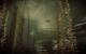 Wolfenstein The New Order (downsampled von 3.840 x 2.400 und 5.120 x 3.200 auf 1.920 x 1.200) (19)