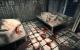 Wolfenstein The New Order (downsampled von 3.840 x 2.400 und 5.120 x 3.200 auf 1.920 x 1.200) (44)