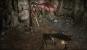 Oldschool-RPG Pillars of Eternity in der PCGH-Vorschau (1) (4)