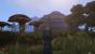 Morrowind Overhaul (44)