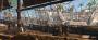 Assassin's Creed: Black Flag - Screenshot von Falcon