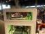 Deutsche Casemod Meisterschaft DCMM 2014. (3)