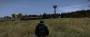DayZ 21 zu 9