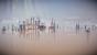 Mind: Path to Thalamus (7)