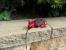 Update vom 17.08.2014: Wenn die Maus ein Drache ist ... (2)