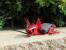Update vom 17.08.2014: Wenn die Maus ein Drache ist ... (1)