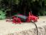 Update vom 17.08.2014: Wenn die Maus ein Drache ist ... (3)