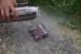 Update: Mehr Bilder von der Gigabye EOC 2014 (61)
