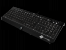 Razer Black Widow Ultimate 2014 Stealth CLG Edition: 20 Euro Aufpreis für weiße Beleuchtung (4)