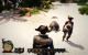 Risen 3 maxed und downsampled 15
