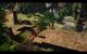 Risen 3 maxed und downsampled 38