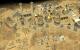 Stronghold Crusader 2 (10)