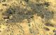 Stronghold Crusader 2 (19)
