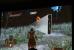 Nvidia Gameworks: Geforce-exklusive Features von AC Unity, Far Cry 4, Project Cars und mehr (50)