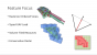 Direct3D 11.3 und 12-Features (2)