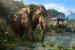 Far Cry 4 im PCGH-Techniktest (11)