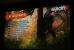 Nvidia Gameworks: Geforce-exklusive Features von AC Unity, Far Cry 4, Project Cars und mehr (15)