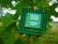 Update vom 20.09. mit Prozessoren in der Natur und Haswell-E (1)