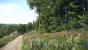 Kingdom Come: Deliverance: Technical Alpha 0.1 - 3.840 x 2.160 @ 1080p (2)