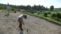 Kingdom Come: Deliverance: Technical Alpha 0.1 - 3.840 x 2.160 @ 1080p (4)