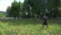 Kingdom Come: Deliverance: Technical Alpha 0.1 - 3.840 x 2.160 @ 1080p (15)