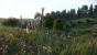 Kingdom Come: Deliverance: Technical Alpha 0.1 - 3.840 x 2.160 @ 1080p (25)