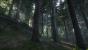 Kingdom Come: Deliverance: Technical Alpha 0.1 - 3.840 x 2.160 @ 1080p (39)