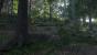 Kingdom Come: Deliverance: Technical Alpha 0.1 - 3.840 x 2.160 @ 1080p (40)