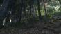 Kingdom Come: Deliverance: Technical Alpha 0.1 - 3.840 x 2.160 @ 1080p (41)