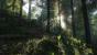 Kingdom Come: Deliverance: Technical Alpha 0.1 - 3.840 x 2.160 @ 1080p (42)
