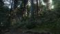 Kingdom Come: Deliverance: Technical Alpha 0.1 - 3.840 x 2.160 @ 1080p (44)