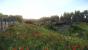 Kingdom Come: Deliverance: Technical Alpha 0.1 - 3.840 x 2.160 @ 1080p (45)
