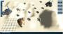 Update: Release-Version unter der Lupe (5)