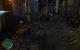 Mordors Schatten (74)