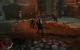 Mordors Schatten (100)