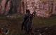 Mordors Schatten (102)