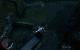 Mordors Schatten (110)
