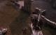 Mordors Schatten (20)