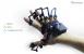 Exoskelett für die Hand auf Kickstarter: Dexmo lässt Grenze zwischen Wirklichkeit und virtueller Welt ab 75 Dollar verschwinden.