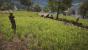 Far Cry 4 AO aus