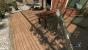 Dying Light Schatten niedrig