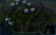 Grey Goo44