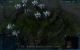 Grey Goo: Detailstufe 4